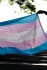 Bandeira Trans